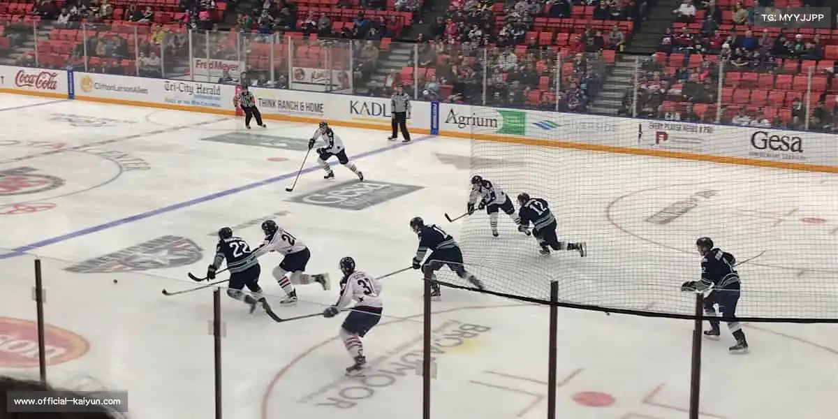 kaiyun——👊柔道缠斗，以柔克刚！